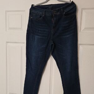 Ashley Stewart Deep Indigo Women's Skinny Jeans